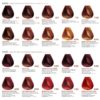 Tinta Innovationevo - BBCOS